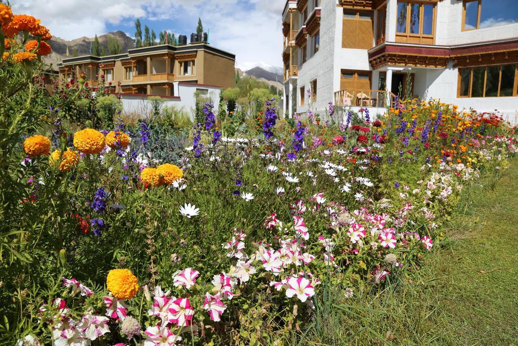 Отель Ladakh Himalayan Retreat Лех Экстерьер фото