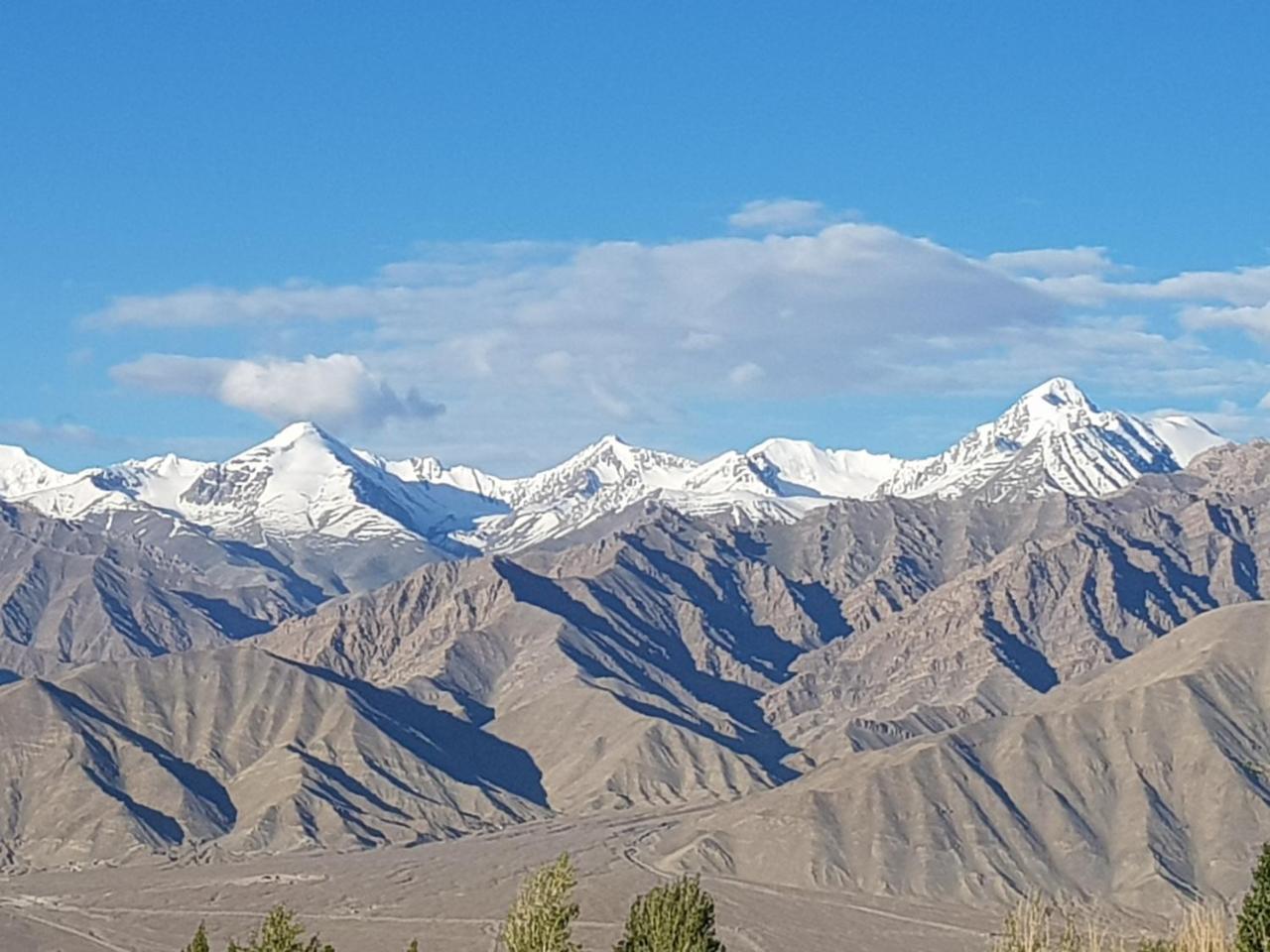 Отель Ladakh Himalayan Retreat Лех Экстерьер фото